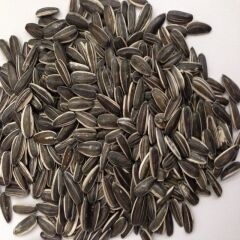 Doğal Siyah Çerezlik Çitlemelik Ayçiçeği Çekirdek Tohumu (5 KG)