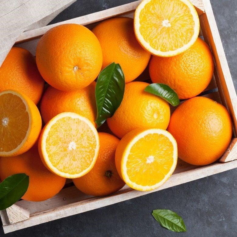 Tüplü Yarı Bodur Washıngton Aromalı Portakal Fidanı