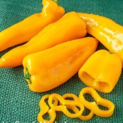 Nadir Ata Tohum Geleneksel Acı Yellow Jalapeno Biber Tohumu (10 Tohum)