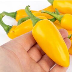 Jalepeno Yellow Çok Acı Biber Tohumu (15 Tohum)