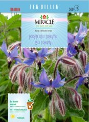 Miracle Hodan Otu Tohumu (50 tohum)