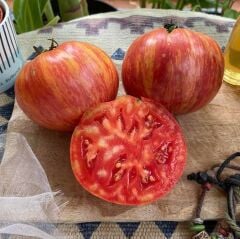 Nadir Çizgili Big Cheef Stripes Domates Tohumu (15 tohum)