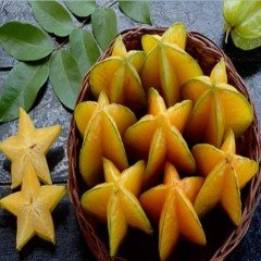 Tüplü Karambola Star Fruit Fidanı