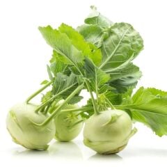 Ata Tohum Geleneksel Yeşil Kohlrabi(Alabaş) Tohumu (20 Tohum)